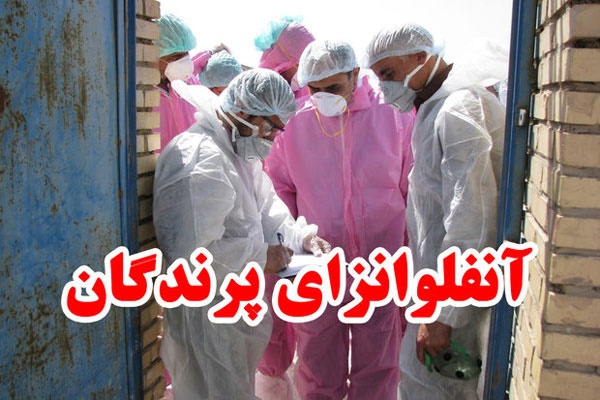 اطلاعیه دامپزشکی انار به مرغداران شهرستان در خصوص بیماری آنفلوانزای فوق حاد پرندگان