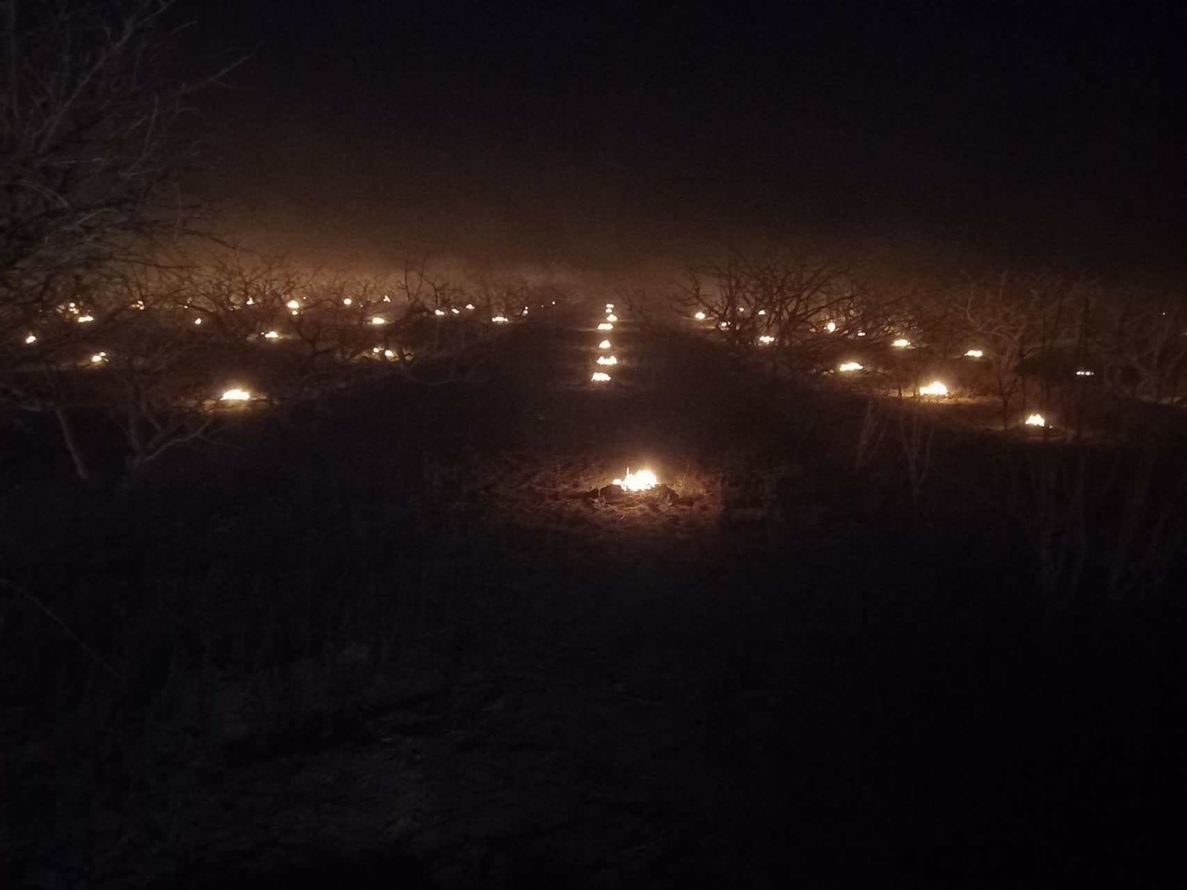 رنج قطب پسته ایران از نبود مسئول دلسوز!!