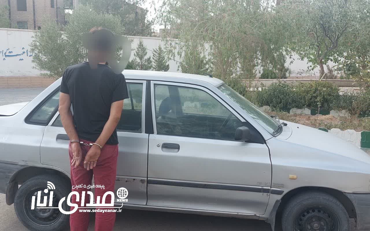 دستگیری سارق با ۱۰فقره سرقت در شهرستان انار
