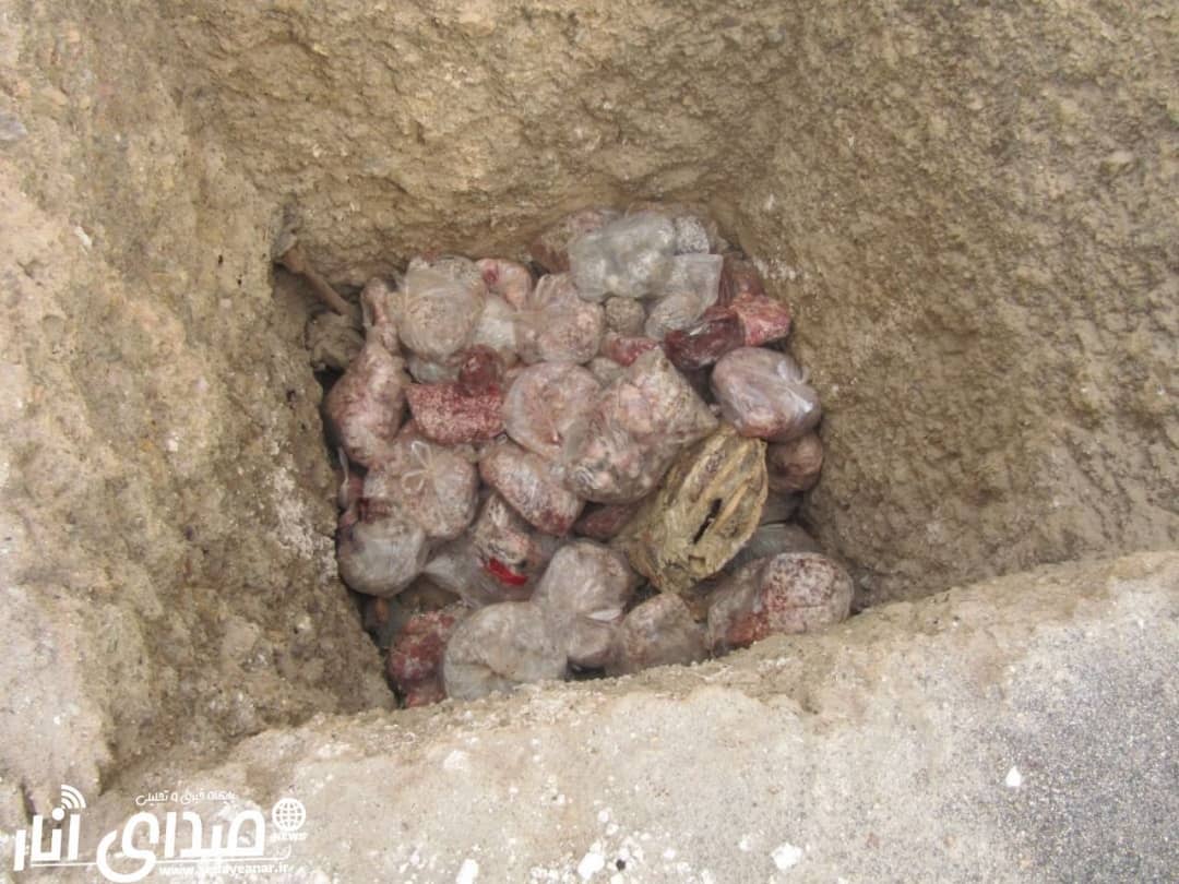 ضبط و معدوم سازی بیش از ۷۴۸ کیلوگرم فرآورده های خام دامی غیرقابل مصرف و فاسد در شهرستان انار