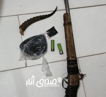 کشف سلاح غیر مجاز و آثار و ادله مربوط به تلف کردن یک رأس آهو در شهرستان انار