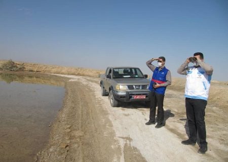 اجرای طرح پایش و مراقبت فعال بیماری آنفلوانزای فوق حاد پرندگان در شهرستان انار