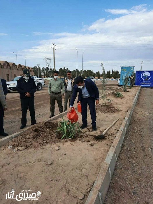 کاشت درخت در آستانه روز درختکاری در انار+تصاویر