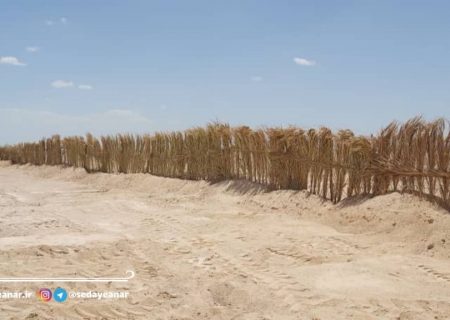 منطقه غرب جاده انار- یزد یکی از کانون های بحرانی حساس فرسایش بادی در شهرستان انار