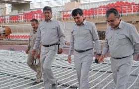 زمین چمن شماره دو ورزشگاه شهدای مس رفسنجان در مسیر کاشت طبیعی