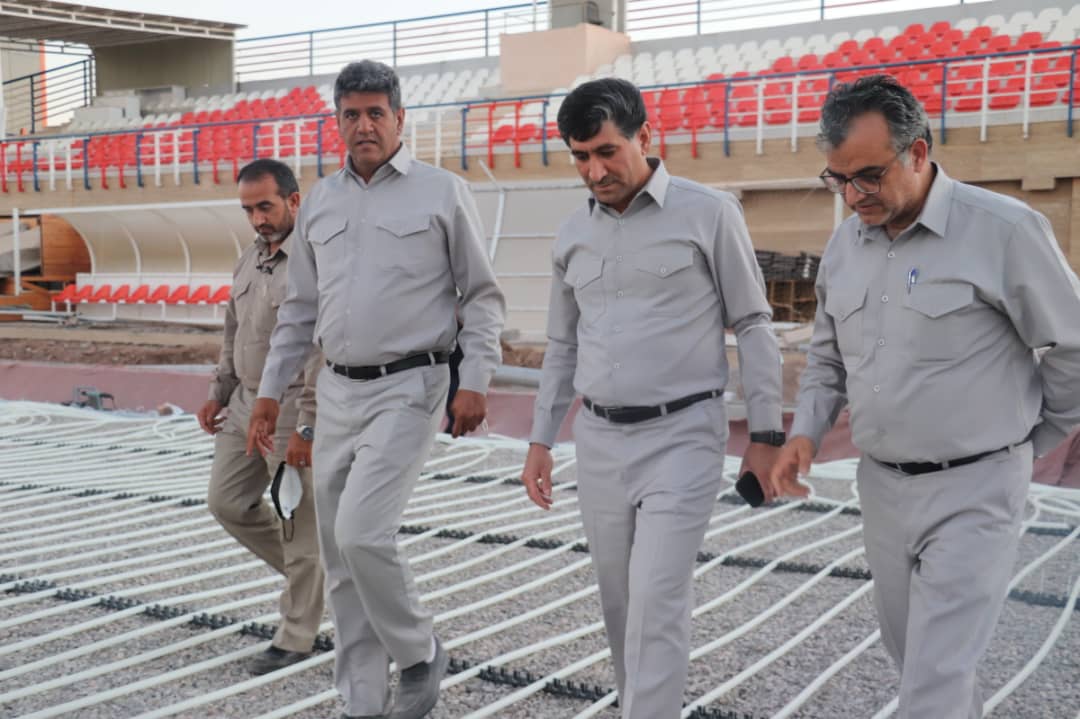 زمین چمن شماره دو ورزشگاه شهدای مس رفسنجان در مسیر کاشت طبیعی