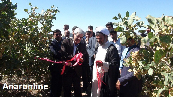 ششمین روز از هفته دولت در شهرستان انار با افتتاح چندین طرح عمرانی روستایی و جهاد کشاورزی