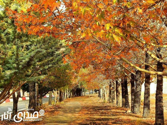 عکس‌هایی از پاییز رنگارنگ در شهرک مس سرچشمه
