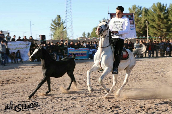 سومین شو سواره اسب در انار برگزار شد+تصاویر