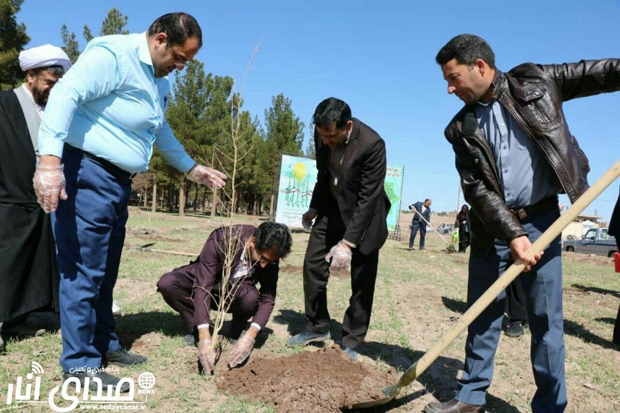 گزارش تصویری درختکاری  در انارستان شهر انار + تصاویر